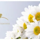 La imagen 1 de la Empresa ACASTELLO Y ROSSO ESPERANZA SEPELIOS Mortajas en Esperanza AR-S