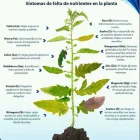 La imagen 2 de la Empresa AGRONOMIA SAN RAFAEL Ventas de Agroquímicos en General Alvear AR-M	