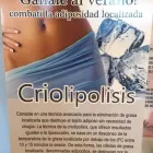 La imagen 2 de la Empresa AINE DEPILACION DEFINITIVA Sistema Español en Capital Federal AR-B