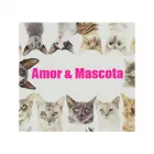 La imagen 2 de la Empresa AMOR & MASCOTA Tienda para mascotas en Mendoza AR-M	