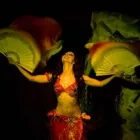 La imagen 3 de la Empresa AMOR POR LAS FOTOS Zapata con Sincro en Capital Federal AR-B