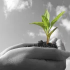 La imagen 3 de la Empresa ANALÍA CORTI PSICÓLOGA Trabajo Social en Buenos Aires Argentina