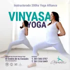 La imagen 3 de la Empresa ARMONIZARTE - ESPACIO DE BIENESTAR Yogaterapia en Mendoza AR-M	
