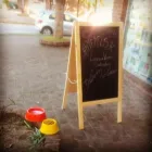 La imagen 1 de la Empresa ARTEMISA PETS SHOP Tienda para mascotas en San Isidro AR-B