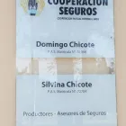 La imagen 8 de la Empresa ASESORES DE SEGUROS CHICOTE Seguros Integrales en General Pico AR-L
