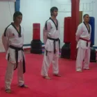 La imagen 2 de la Empresa ASOCIACIÓN ELITE DE TAEKWONDO OLÍMPICO WTF en Resistencia AR-H