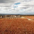 La imagen 18 de la Empresa AUBERGE DU VIN, A TRIBUTE PORTFOLIO HOTEL, TUPUNGATO Tribute Hotels en Tupungato AR-M	