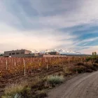 La imagen 24 de la Empresa AUBERGE DU VIN, A TRIBUTE PORTFOLIO HOTEL, TUPUNGATO Tribute Hotels en Tupungato AR-M	