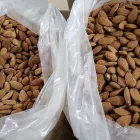 La imagen 1 de la Empresa AVICOLA LA ESPERANZA Ventas de Huevos de Codornices en Pocito AR-J