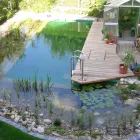 La imagen 7 de la Empresa BIO BAYRES Piscinas Naturalizadas en Buenos Aires, Lomas De Zamora AR-B