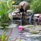 La imagen 8 de la Empresa BIO BAYRES Piscinas Naturalizadas en Buenos Aires, Lomas De Zamora AR-B