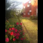 La imagen 3 de la Empresa BUNGALOW LOS NARANJOS Agencia de alquiler de casas móviles en Colón AR-E