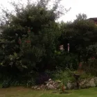 La imagen 7 de la Empresa CABAÑAS BALCÓN SOLEADO Cabaña en Santa Rosa de Calamuchita AR-X