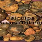 La imagen 2 de la Empresa CALCULOS BILIARES  BOVINOS Ventas de Ganado en Pie en Diamante AR-E