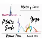 La imagen 5 de la Empresa CAROLINA GASPARRI YOGA-PILATES Yogaterapia en Mar del Plata AR-B