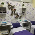 La imagen 2 de la Empresa CENTRO DE ESTETICA MASSAGGE Ultracavitación en Capital Federal AR-B
