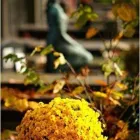 La imagen 2 de la Empresa CHARCAS 3070 Funeraria en Buenos Aires Argentina