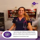 La imagen 1 de la Empresa CLINICA MEDICA Y QUIRURGICA VETERINARIA DR CAVIGLIA Mascotas en Capital Federal AR-B