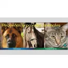 La imagen 2 de la Empresa CLINICA VETERINARIA RIAL Hospital de animales en San Antonio Oeste AR-R	