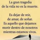 La imagen 2 de la Empresa COACH HECTOR LUIS GONZALEZ Mentor personal en Godoy Cruz AR-M	