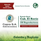 La imagen 1 de la Empresa COLOMBO Y MAGLIANO SA Servicios agrícolas en Capital Federal AR-B