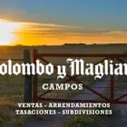 La imagen 5 de la Empresa COLOMBO Y MAGLIANO SA Servicios agrícolas en Capital Federal AR-B
