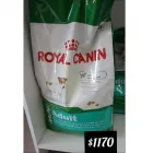 La imagen 3 de la Empresa COMO PERROS Y GATOS Traslado de Perros en Francisco Alvarez AR-B