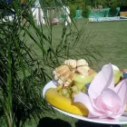 La imagen 1 de la Empresa COMPLEJO DE CABAÑAS LAS PALMERAS Hotel en Ranchos AR-B