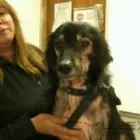 La imagen 1 de la Empresa CONSULTORIO VETERINARIO OSOMAG - URGENCIAS VETERINARIAS 24 HS Veterinarios a Domicilio en Mar del Plata AR-B