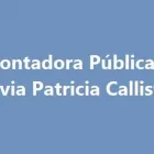 La imagen 1 de la Empresa CONTADORA PÚBLICA SILVIA PATRICIA CALLISTI Liquidacion de Impuestos en Capital Federal AR-B