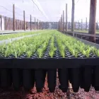La imagen 2 de la Empresa DASSPLASTIC Fabricante de productos de plástico en San Martin AR-B