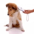 La imagen 1 de la Empresa DIAGNÓSTICO PLAZA Radiologias Para Animales en Ciudad Autónoma de Buenos Aires AR-B