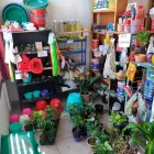 La imagen 6 de la Empresa DISTRIBUIDORA DE ARTÍCULOS DE LIMPIEZA GODOY CRUZ Venta de Productos de Limpieza en Godoy Cruz AR-M	