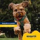 La imagen 4 de la Empresa DISTRIBUIDORA EL BICHO Ventas por Menor de Alimentos Balanceados en San Miguel de Tucumán AR-T