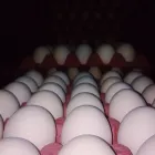 La imagen 1 de la Empresa DISTRIBUIDORA LEALCITO'S Supermercado en Santiago del Estero AR-G