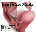 La imagen 2 de la Empresa DRA GARRO Servicios de Medicos Clinicos en El Palomar AR-B