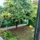 La imagen 5 de la Empresa DRA GARRO Servicios de Medicos Clinicos en El Palomar AR-B