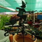 La imagen 4 de la Empresa EL PICAFLOR - PLANTAS Y FLORES Viveros en Junín AR-B
