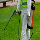 La imagen 2 de la Empresa EL TRÉBOL - DISEÑO - ASESORAMIENTO Y MANTENIMIENTO DE ESPACIOS VERDES Mantenimiento de Espacios Verdes en Neuquén AR-Q