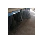 La imagen 2 de la Empresa ELASTICOS IANNIZZOTTO Tienda de repuestos para automóviles en Godoy Cruz AR-M	