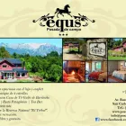 La imagen 3 de la Empresa EQUS CASA DE TE GALES Tienda de chucherías en San Carlos de Bariloche AR-R	