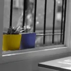 La imagen 1 de la Empresa ESTUDIO 1640 Web de Pymes en San Isidro AR-B