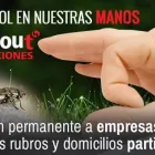 La imagen 3 de la Empresa FLASH OUT FUMIGACIONES Servicio de control de plagas en Capital Federal AR-B