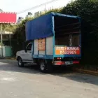 La imagen 1 de la Empresa FLETES  Y MUDANZAS  CLAUDIO REYES Traslado de Pianos en Capital Federal AR-B