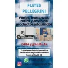 La imagen 1 de la Empresa FLETES Y MUDANZAS PELLEGRINI Traslado de Cajas Fuertes en Capital Federal AR-B