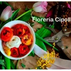 La imagen 1 de la Empresa FLORERIA CIPOLLETTI Ramos para Novias en Cipolletti AR-R	