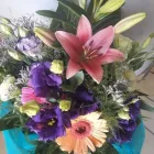 La imagen 2 de la Empresa FLORERIA LA ORQUIDEA AZUL Ventas de Plantas en La Plata AR-B