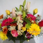 La imagen 1 de la Empresa FLORES  CARQUIEL Spatifilium en Capital Federal AR-B