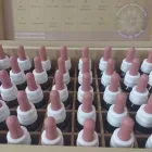 La imagen 1 de la Empresa FLORES DE BACH LUZ INFINITA Terapias Florales en Turdera AR-B