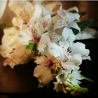 La imagen 1 de la Empresa FLORES DE NOVIAS VIOLETA Ramos para Novias en San Isidro AR-B